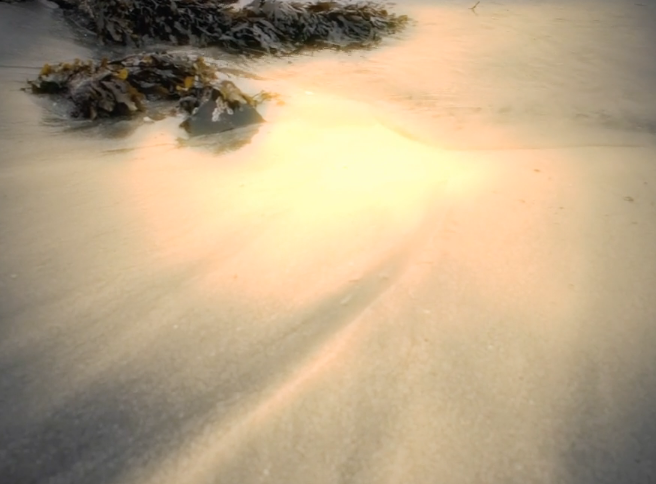Video: Another accident in the sand
